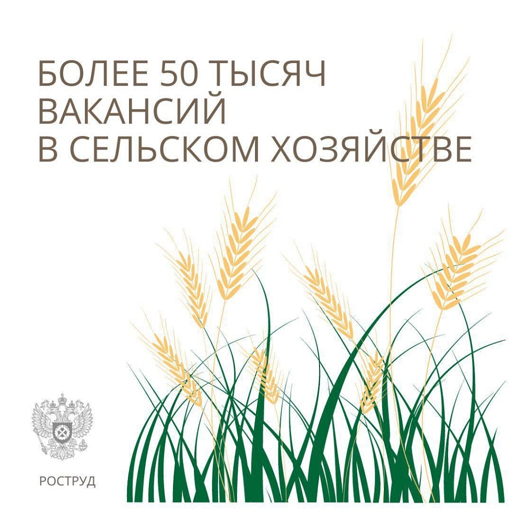 Вакансии в сельском хозяйстве - Государственное казенное учреждение  Новосибирской области 