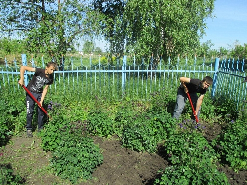 Трудовое лето: куда школьнику податься?